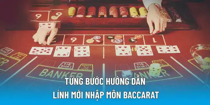 Từng bước hướng dẫn lính mới nhập môn Baccarat