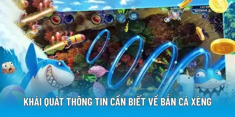 Khái quát thông tin cần biết về bắn cá xèng