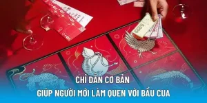 Chỉ dẫn cơ bản giúp người mới làm quen với bầu cua