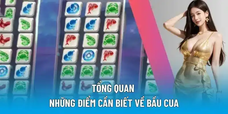 Tổng quan những điểm cần biết về bầu cua