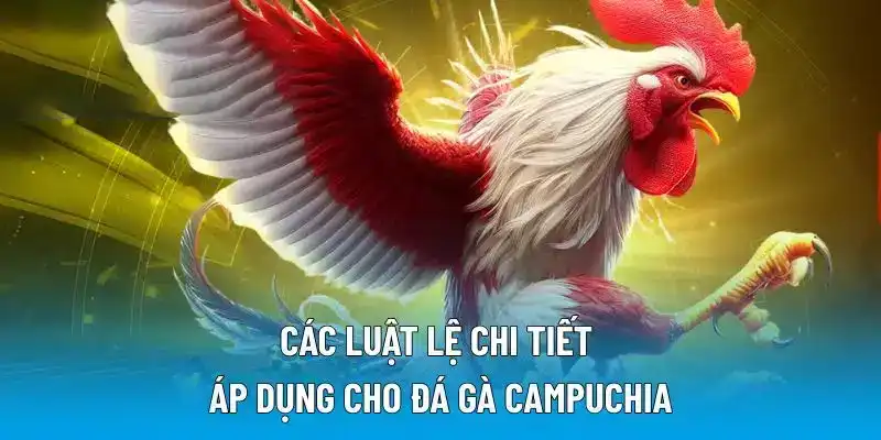 Các luật lệ chi tiết áp dụng cho đá gà Campuchia