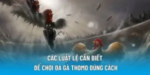 Các luật lệ cần biết để chơi đá gà Thomo đúng cách