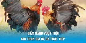 Điểm mạnh vượt trội khi tham gia đá gà trực tiếp