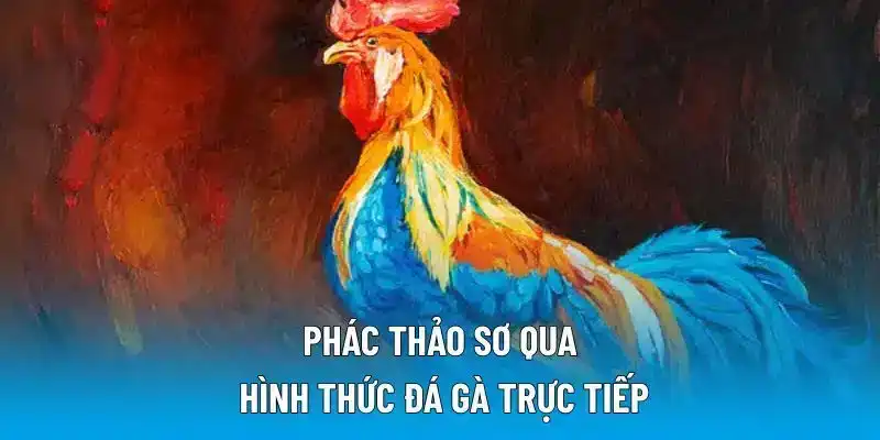 Phác thảo sơ qua hình thức đá gà trực tiếp