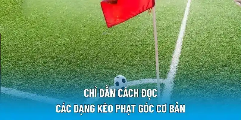 Chỉ dẫn cách đọc các dạng kèo phạt góc cơ bản