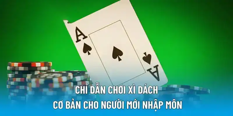Chỉ dẫn chơi xì dách cơ bản cho người mới nhập môn
