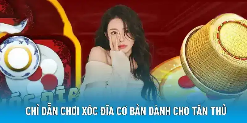 Chỉ dẫn chơi xóc đĩa cơ bản dành cho tân thủ